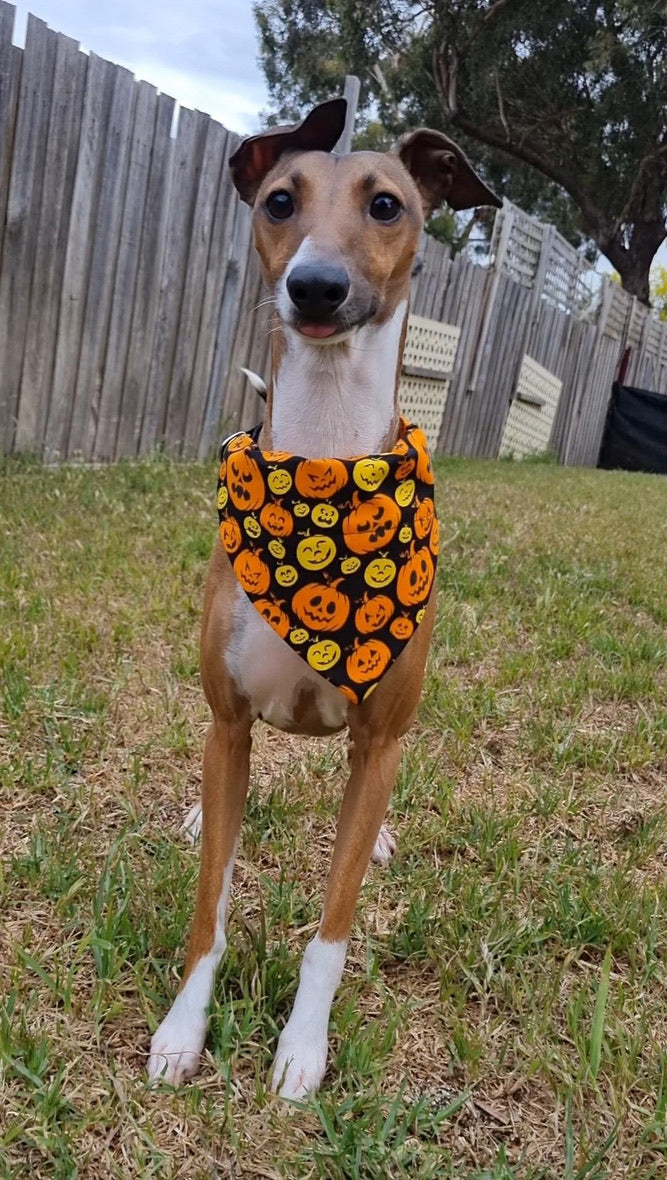 Jack-o'lantern Bandana