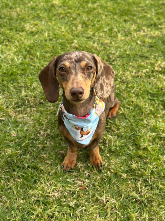 Pool Pawty Bandana