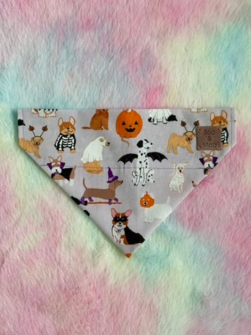 Tricks for Treats Bandana