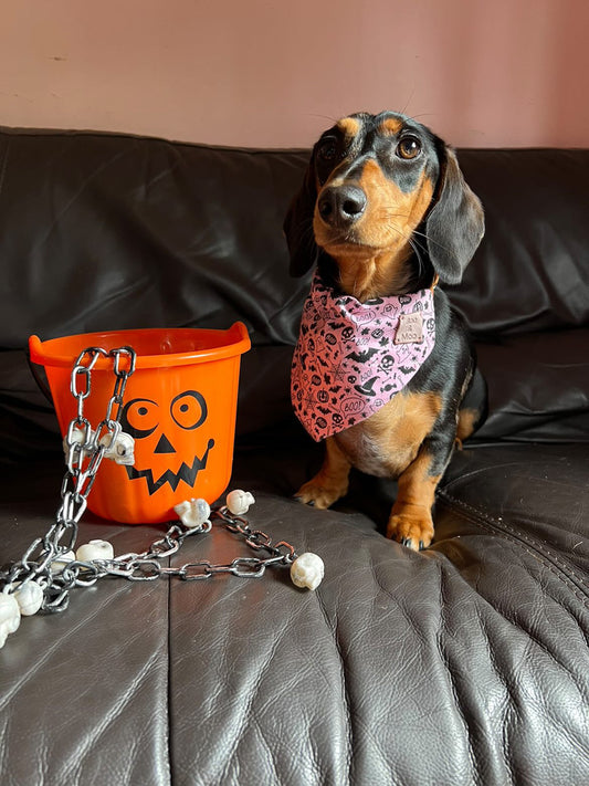Pink Halloween Bandana
