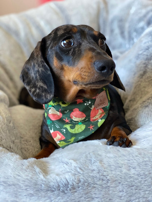 Mermaids Bandana