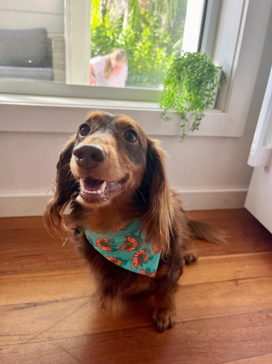 Prawn To Be Wild Bandana