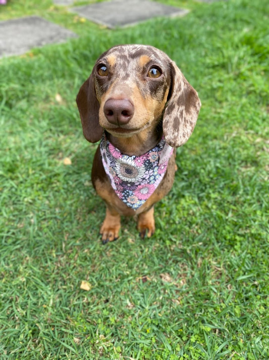 Polite Bowie Corduroy Bandana