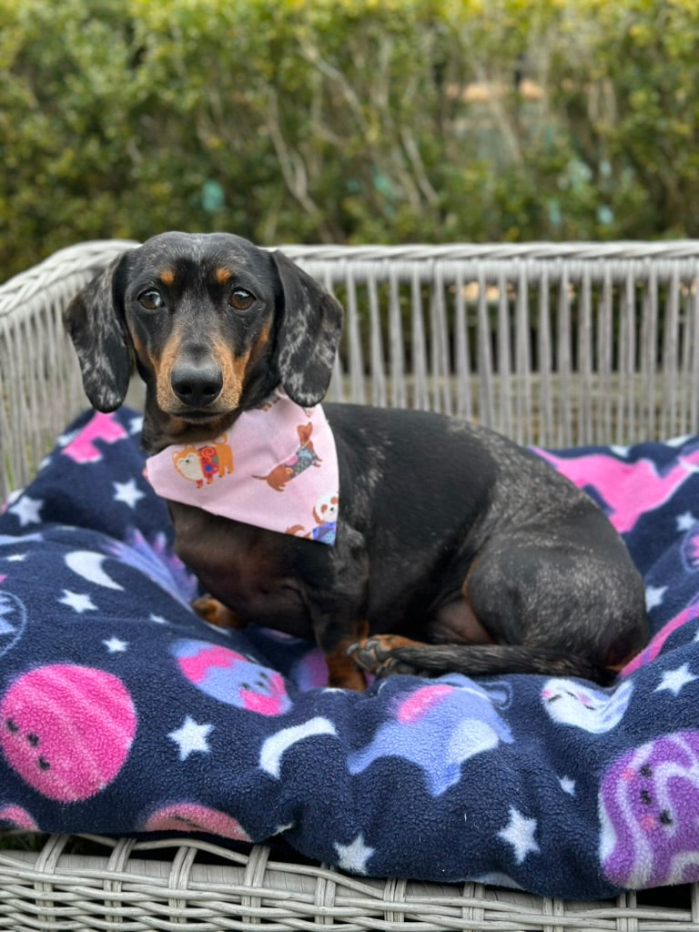 Sweater Weather Bandana
