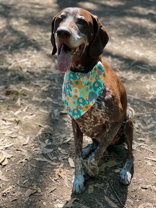 Abi's Heffalumps Bandana