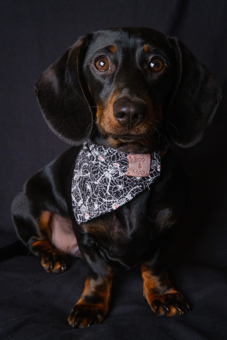 Sparkly Skeletons Bandana