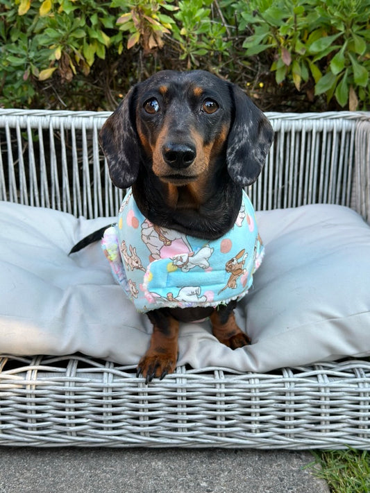 Cute Animals Wrap Vest
