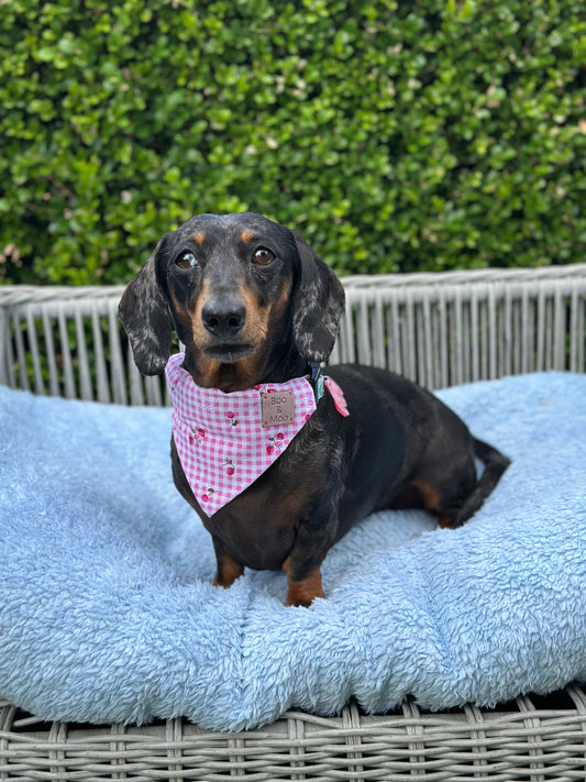 Strawberry Breeze Plaid Bandana