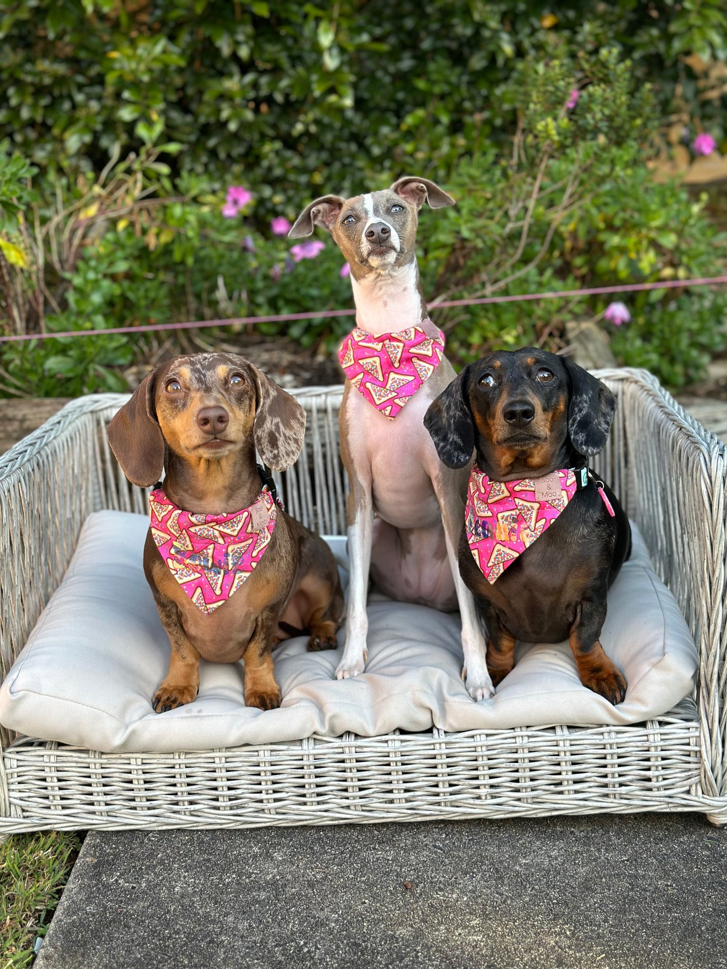 Fairy Bread Bandana