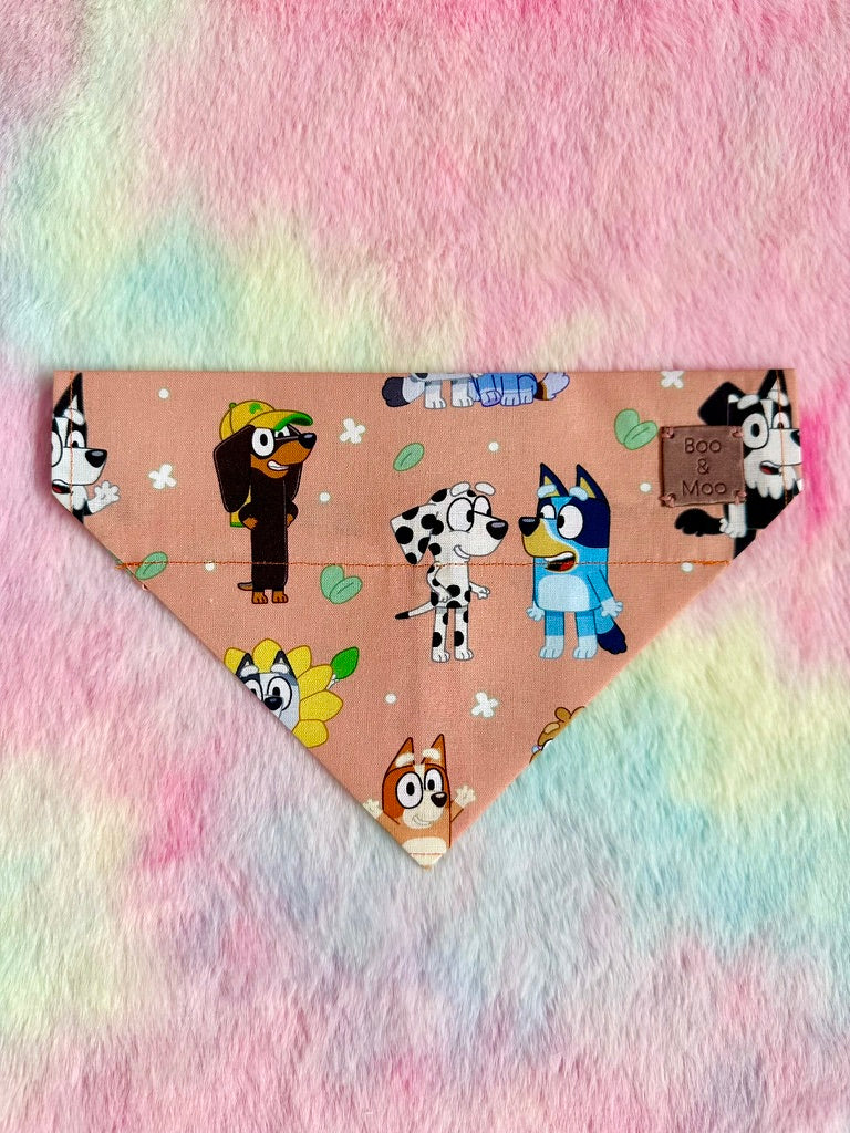 Heeler Hide & Seek Bandana