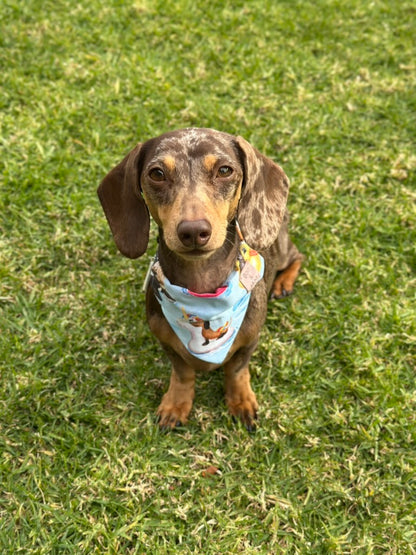 Pool Pawty Bandana