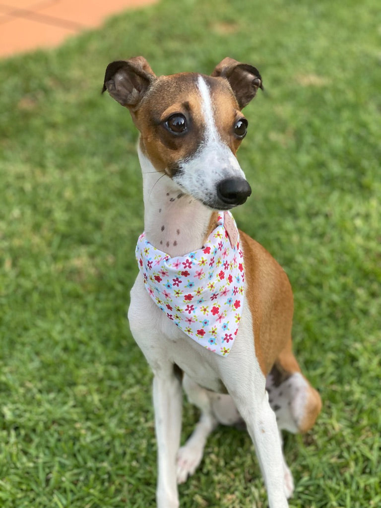 Flower Child Bandana